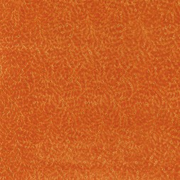 AW23 DG Weaves Flatshots