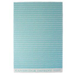 Patterned Paper Seed Aquamarine
