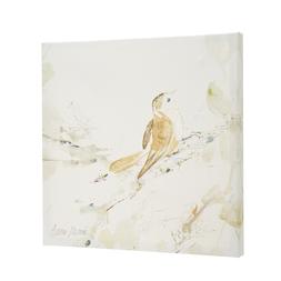 Printed Canvas