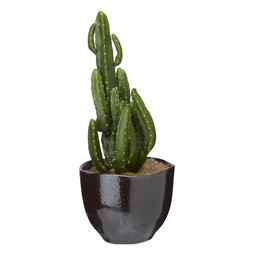 Cactus Plant Pot