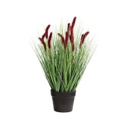 Planted Flower