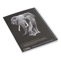 Homesense - Elephant Notebook, &pound;5.99 (2)