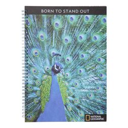 Homesense - peacock Notebook, &pound;5.99 (4)