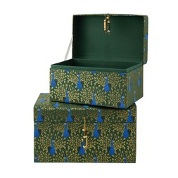 Homesense - Peacock Trunk Set £14.99