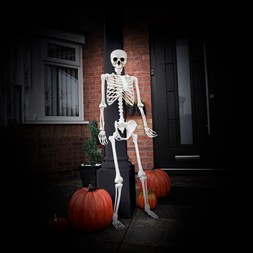 XL Skeleton	£25