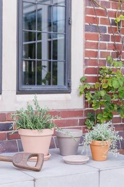 LUCCA PLANTERS £1.19-£13.99