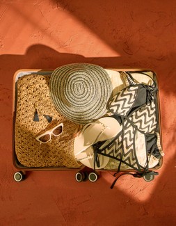 LOOK 2 SUITCASE PORTRAITE